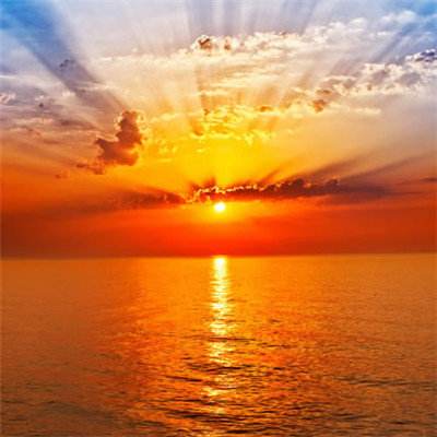 AG官方登陆入口截图